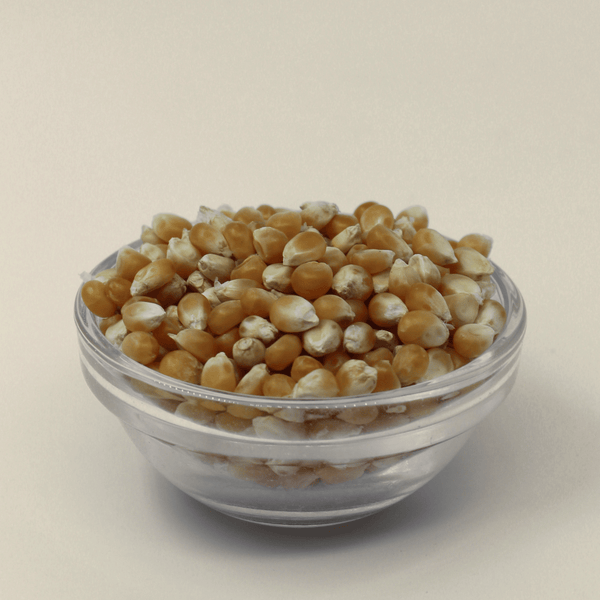 Premium Popcorn Kernels