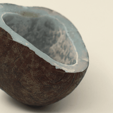 Dry Coconut / Sukha Khopra