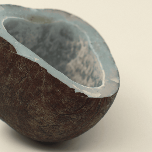 Dry Coconut / Sukha Khopra