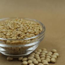 Whole Wheat + Soya / Fettle Flour