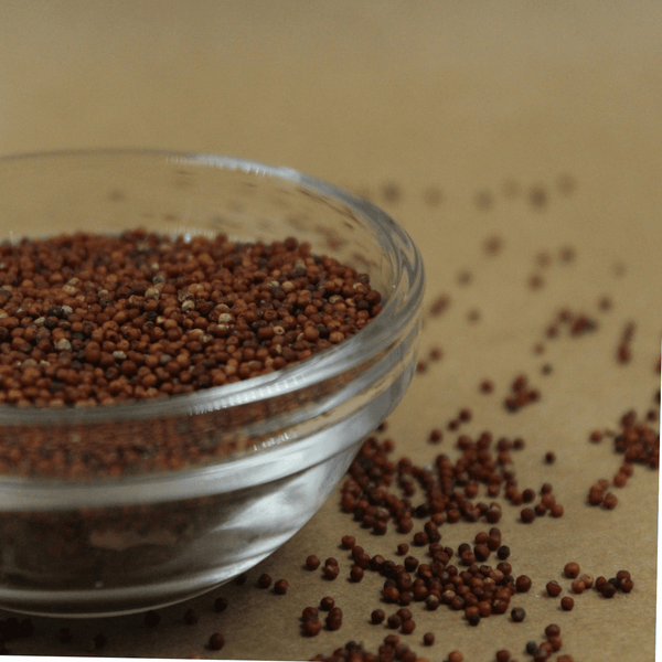 Whole Ragi/Nachni / Finger Millet