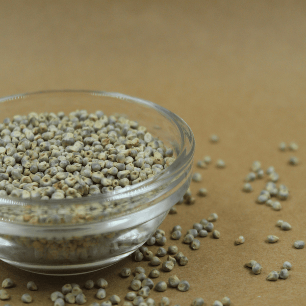 Whole Bajra / Pearl Millet