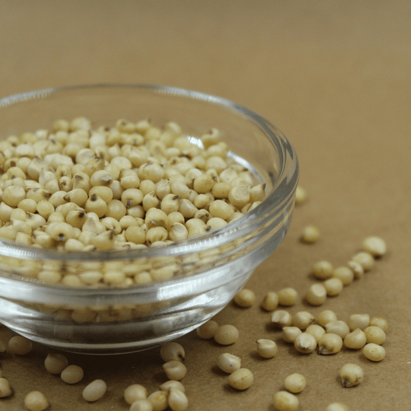 Whole Jowar / Sorghum Millet