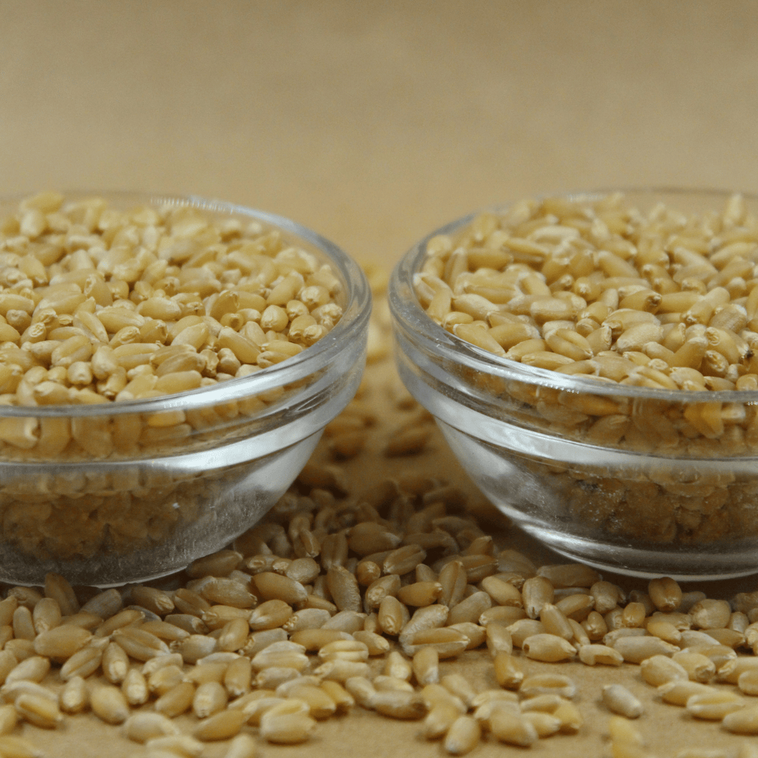 Grassland - MP Sehori Sharbati & Lokwan Whole Wheat Flour