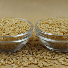 Grassland - MP Sehori Sharbati & Lokwan Whole Wheat Flour