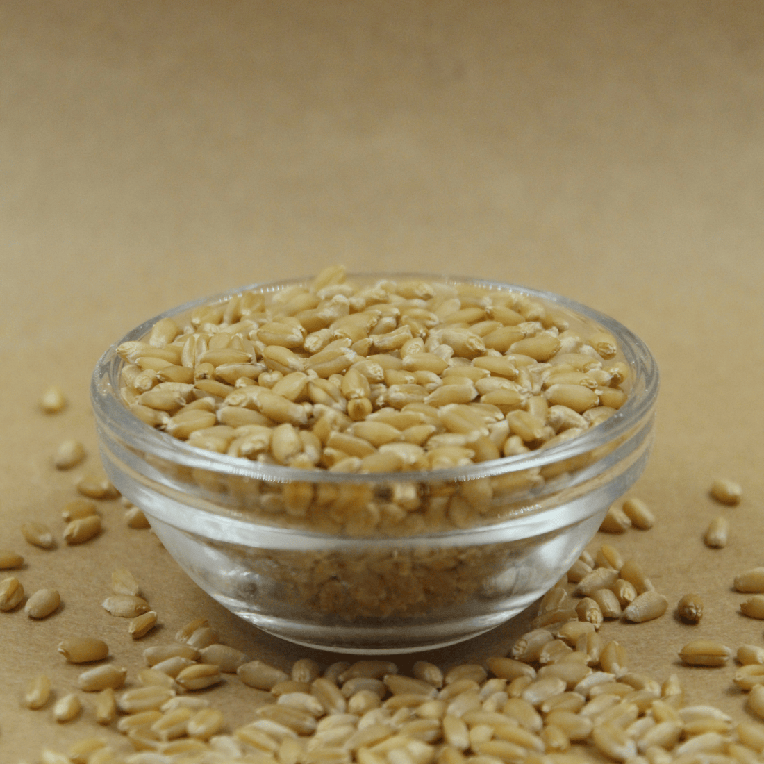 MP Lokwan Whole Wheat Flour