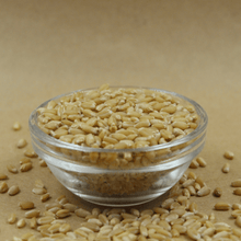 MP Lokwan Whole Wheat Flour