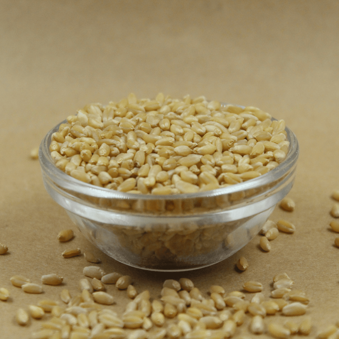 MP Sehore Sharbati Whole Wheat Flour
