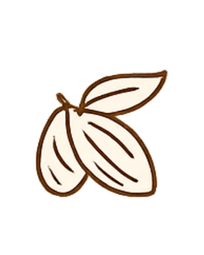 Dry Fruits